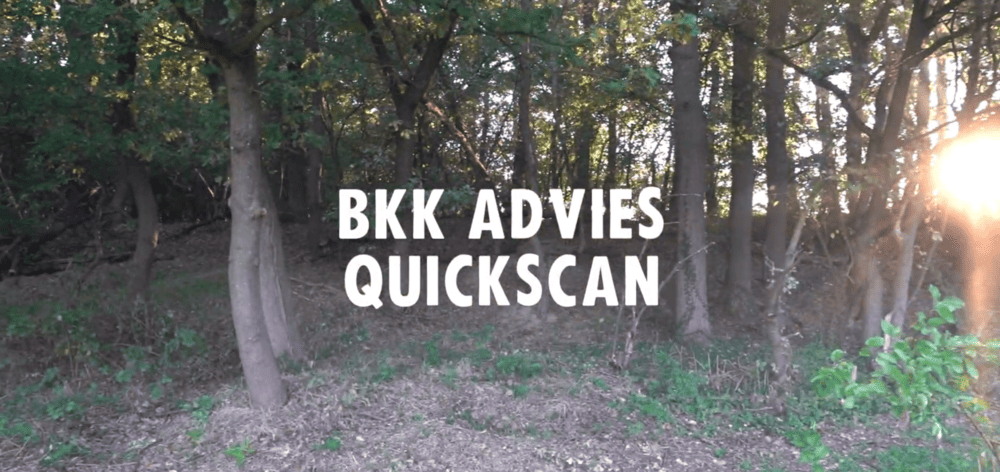 Bkk Quickscan