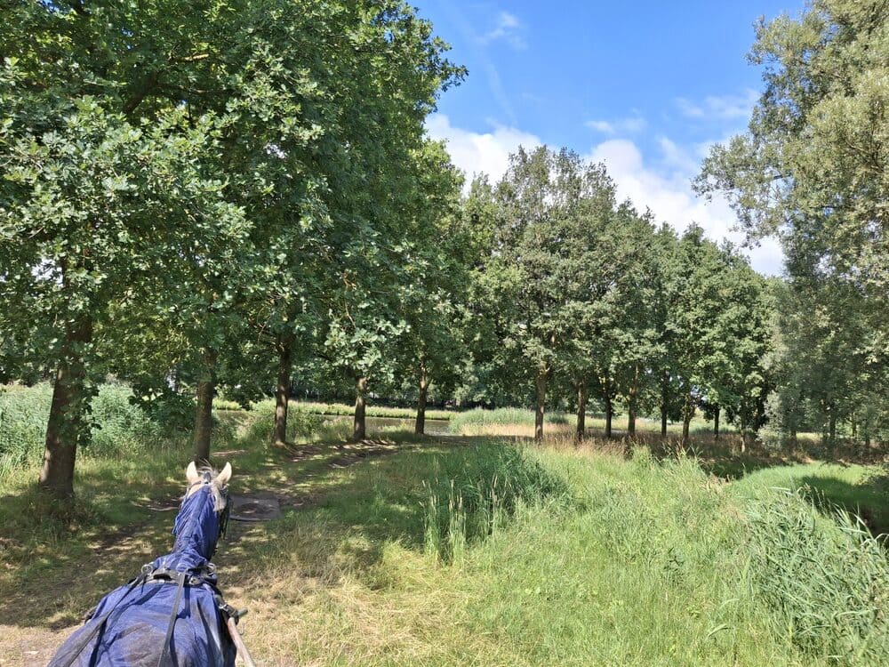 paard en wagen quickscan